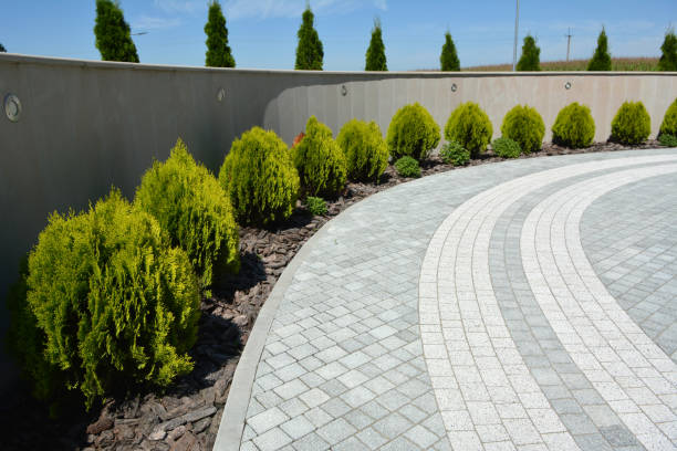 Best Residential Paver Driveway  in Honey Grove, TX